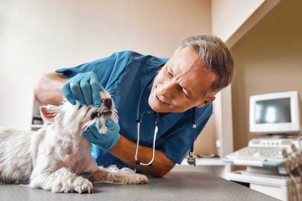 Best Tooth Pain Emergency Relief  in Upper Grand Lagoon, FL